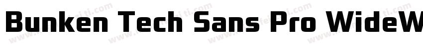 Bunken Tech Sans Pro WideW01SB字体转换